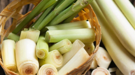 Beberapa potong sereh.