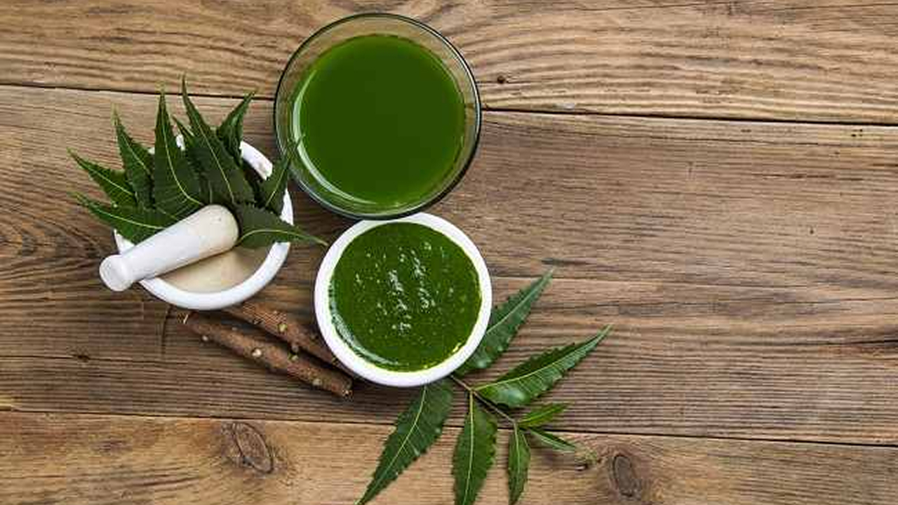 cara mengonsumsi daun neem