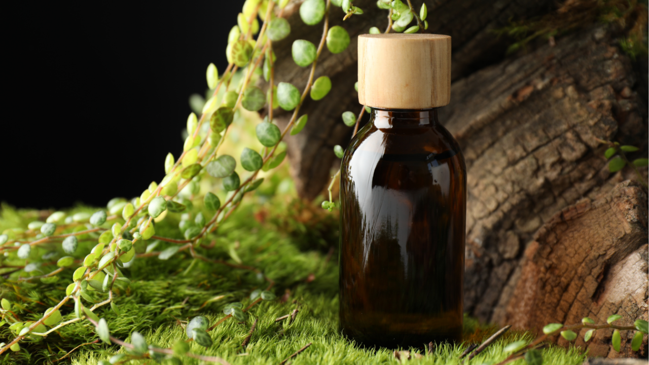 Herbal oil bottle surrounded by green plants and moss.